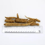 3-Year Field-Run (Bulk) Wisconsin American Ginseng Roots