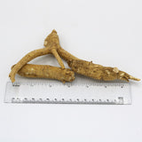 Wisconsin American Ginseng Root Jumbo