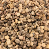 Stratified Wisconsin American Ginseng Seed - [Limited Supply Available]
